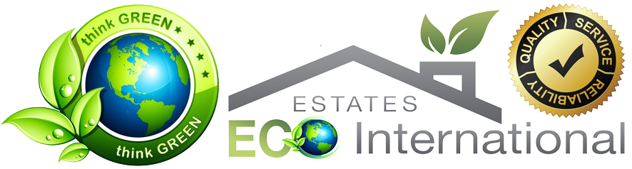 EEI Logo
